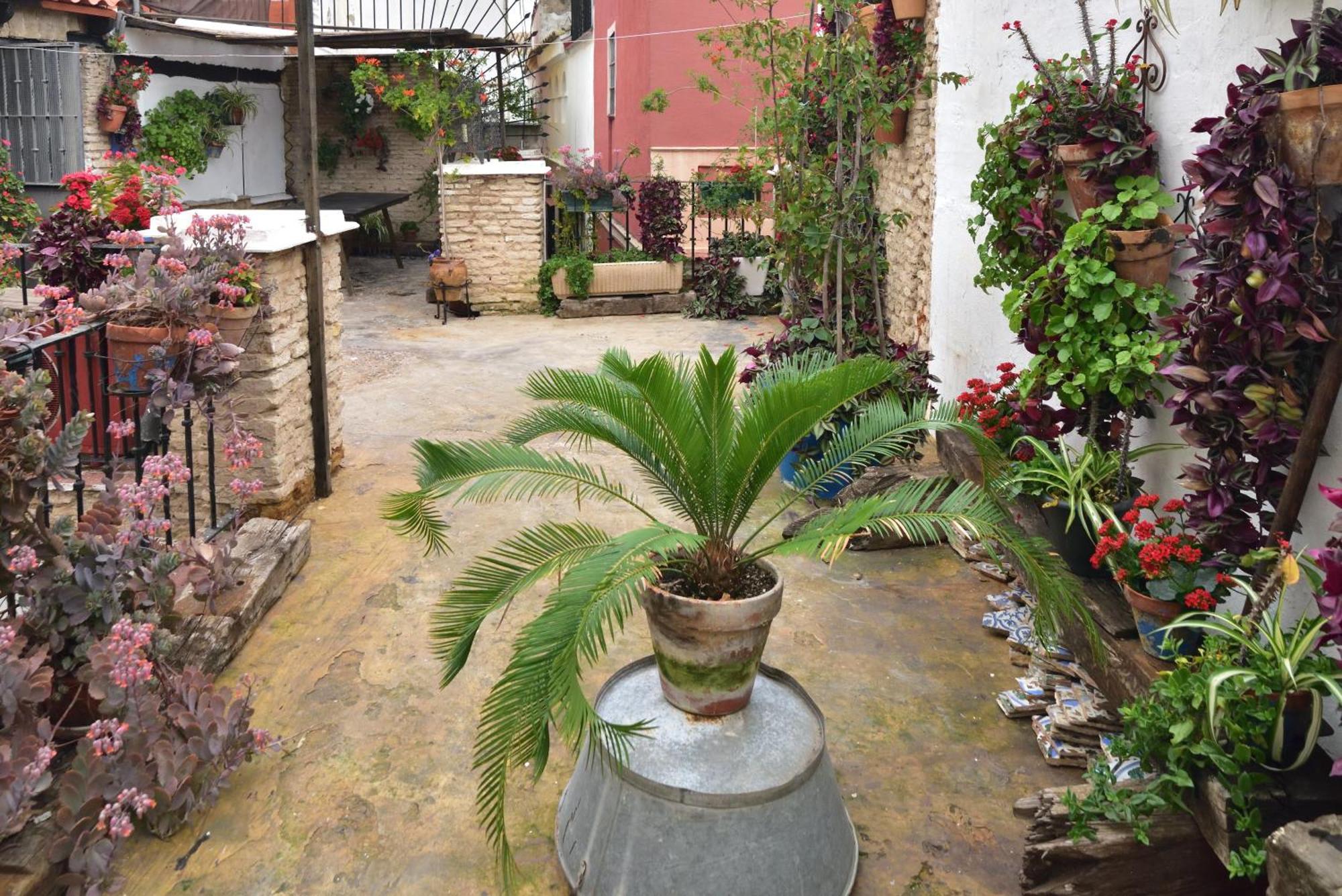 Suite Dona Ines Barrio Santacruz Seville Exterior photo