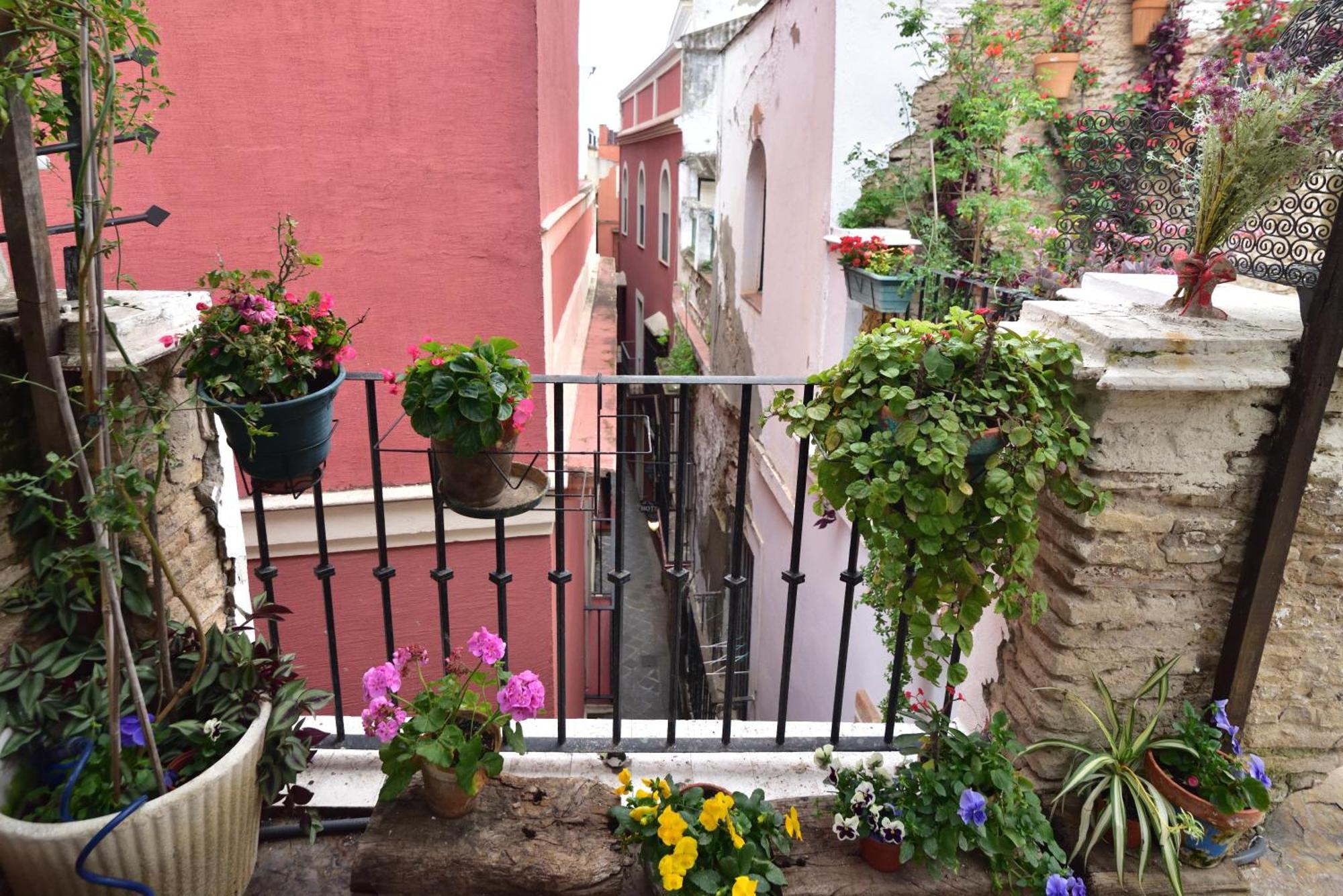 Suite Dona Ines Barrio Santacruz Seville Exterior photo